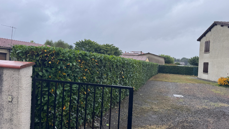 Taille experte d’une haie de laurier palme de 80 m de long avec matériel professionnel à Ausson proche de Montréjeau, Saint-Gaudens, Lannemezan et Cazères