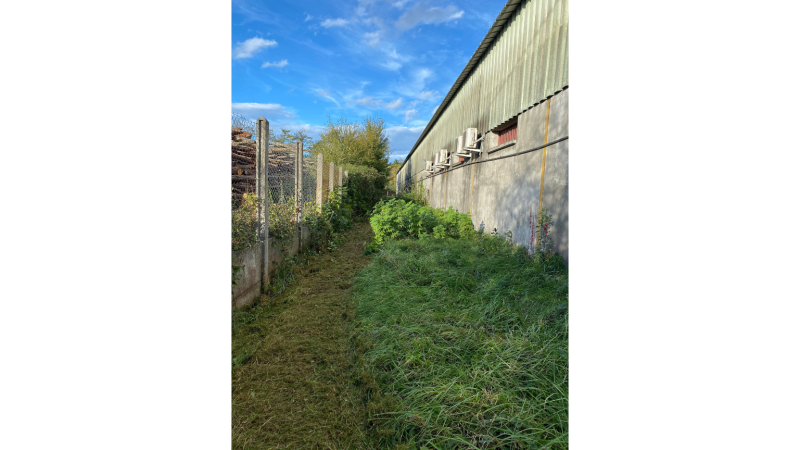 Débroussaillage professionnel sur une zone clôturée près d’un hangar agricole à Labarthe Rivière proche de Saint Gaudens