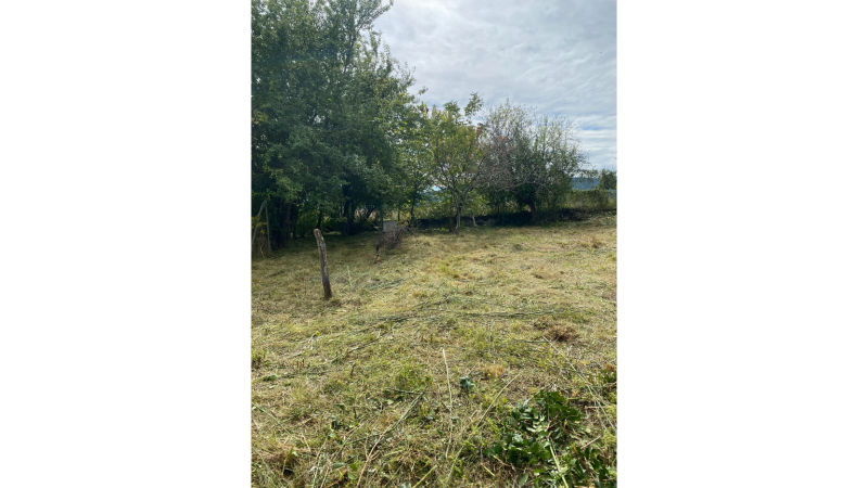 Artisan spécialisé dans le débroussaillage, défrichement et broyage de parcelle pour un réaménagement de parc à Aspet en Occitanie