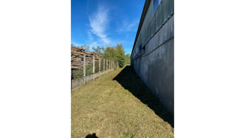 Débroussaillage professionnel sur une zone clôturée près d’un hangar agricole à Labarthe Rivière proche de Saint Gaudens