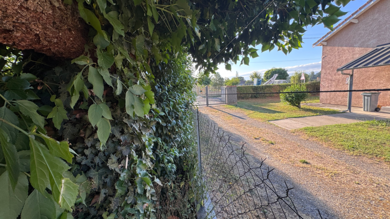 Haie envahissante débordant sur clôture du voisinage : solutions LAFONT ESPACES VERTS à Bordes de Rivière, Saint Gaudens, Lannemezan, Cazères