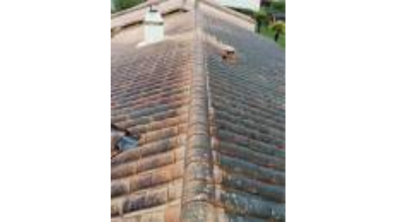 Avant nettoyage toiture