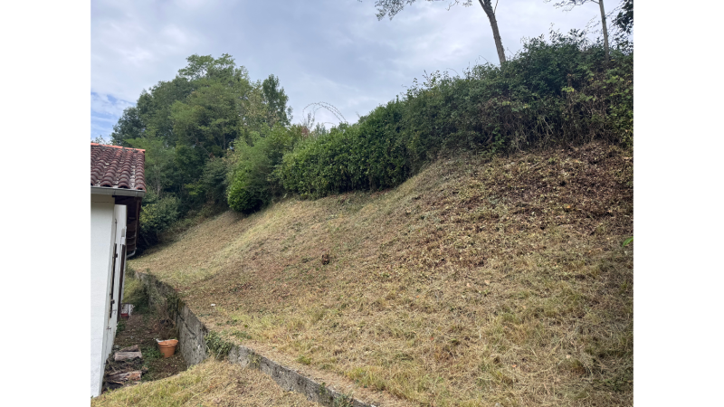 Débroussaillage professionnel de terrain dense et en pente à Landorthe avec techniques spécialisées par LAFONT ESPACES VERTS