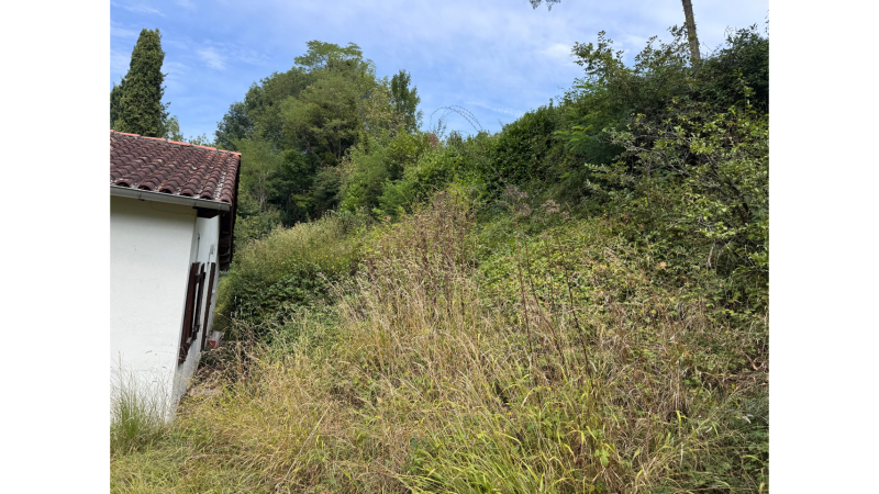 Débroussaillage professionnel de terrain dense et en pente à Landorthe avec techniques spécialisées par LAFONT ESPACES VERTS