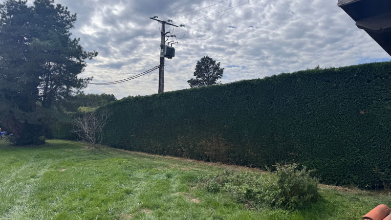 Taille experte et entretien précis de haies de cyprès de leyland par LAFONT ESPACES VERTS à Saint-Gaudens