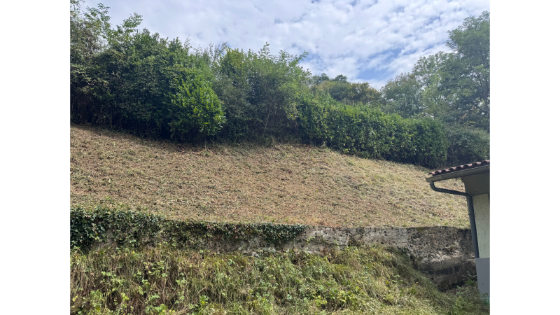 Débroussaillage expert d’un talus à forte pente envahi de ronces et petits arbres avec matériel adapté à Saint-Gaudens en Haute-Garonne