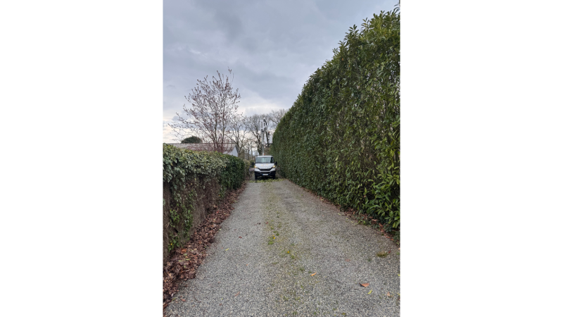 Taille professionnelle de haie de laurier de 7 mètres avec nacelle par LAFONT ESPACES VERTS à Villeneuve de Rivière, Saint-Gaudens, Lannemezan et Cazères