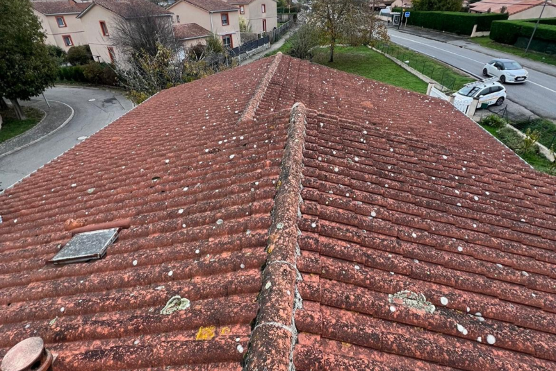 Entretien de toiture à Lannemezan et alentours | Application d’un traitement fongicide longue durée après inspection complète