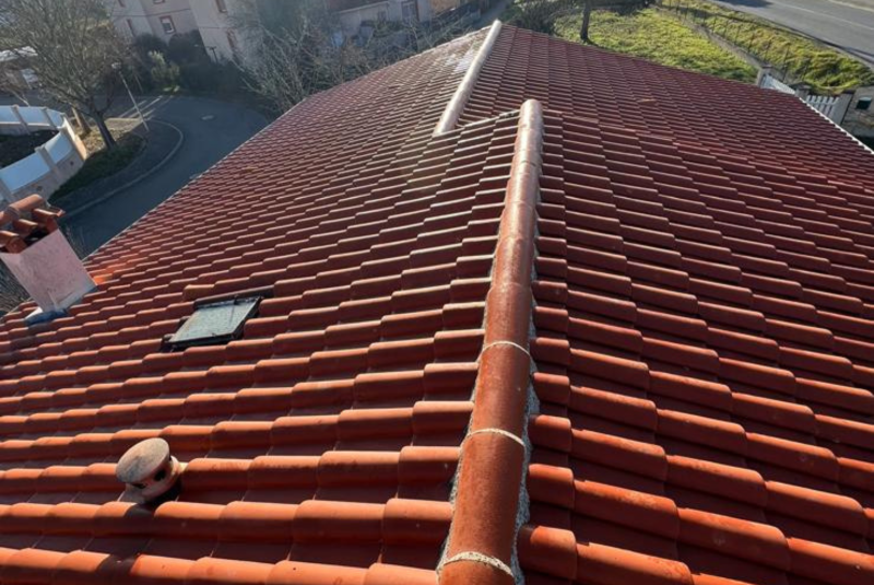 Entretien de toiture à Lannemezan et alentours | Application d’un traitement fongicide longue durée après inspection complète