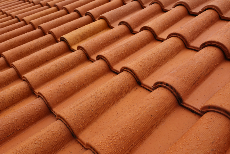 Artisan spécialisé dans l'entretien de toiture à Cazères | Nettoyage de toiture en action lente et application d'un hydrofuge incolore