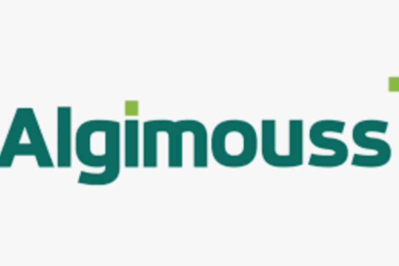 Vente de produit pour entretenir son toit à Saint Gaudens 