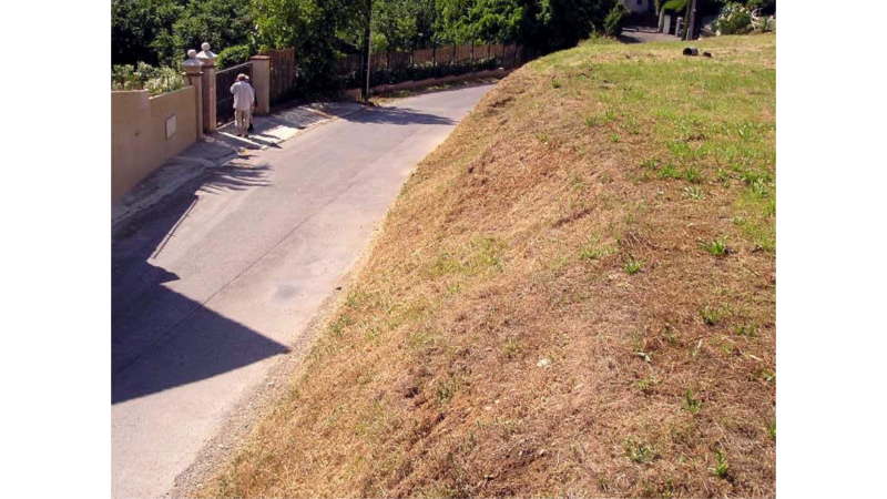 Débroussaillage de jardin à Saint-Gaudens 