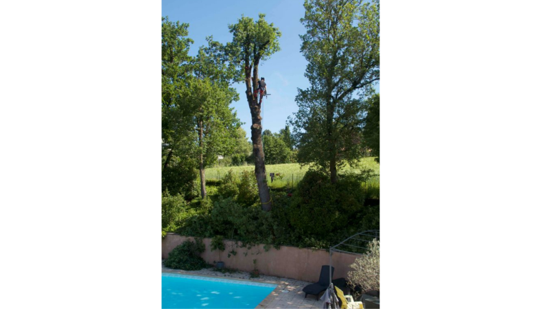Élagage un cours près de piscine