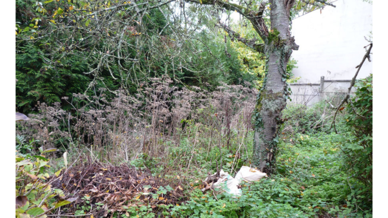 Défrichage d’un terrain rural avec gyrobroyage et remise en état à Cazères : combien de temps prévoir ?