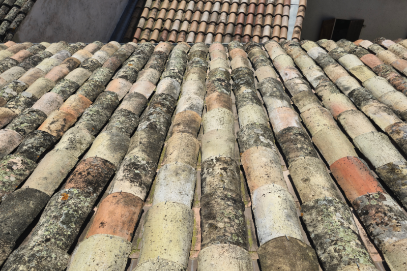 Nettoyage de toiture en tuile canal à Saint Gaudens