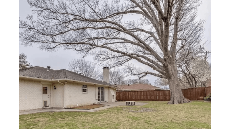Arbre dangereux menaçant la maison 