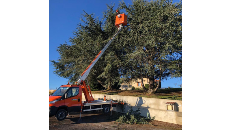Élagage au dessus d’une clôture 