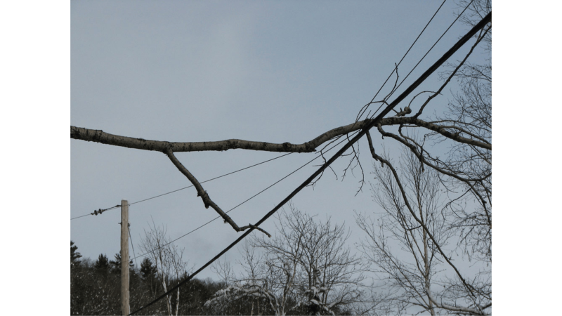 Branche tombée sur ligne électrique ou télécom