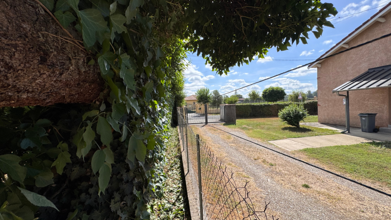 Haie envahissante débordant sur clôture du voisinage : solutions LAFONT ESPACES VERTS à Bordes de Rivière, Saint Gaudens, Lannemezan, Cazères