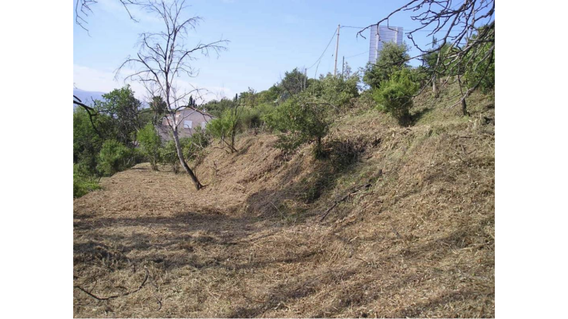 Terrain propre après débroussaillage 