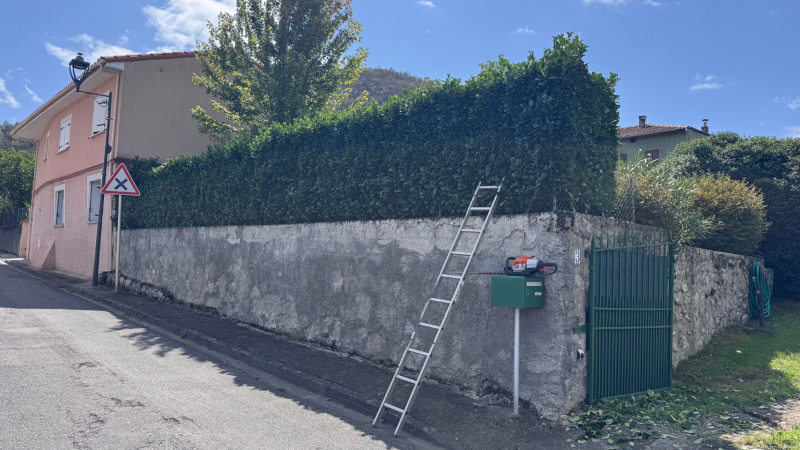 Taille experte d’une haie de palme sur mur en bordure de route réalisée par LAFONT ESPACES VERTS à Gourdan-Polignan proche de Saint-Gaudens