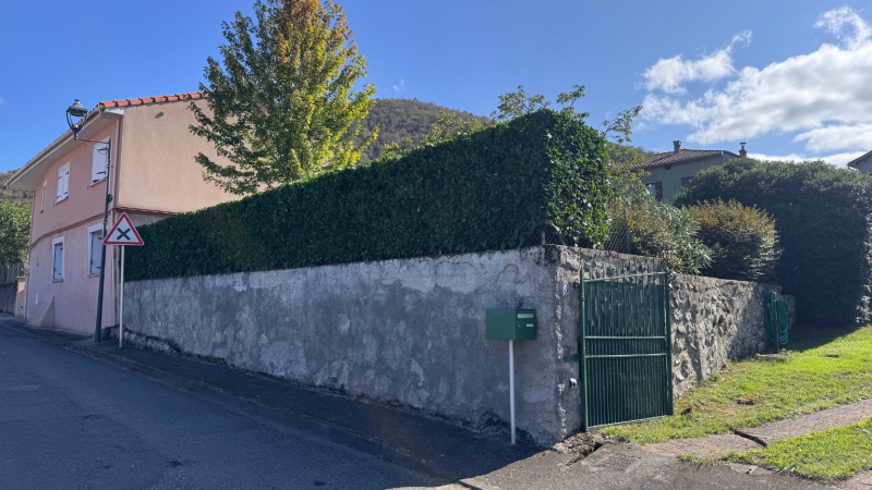 Taille experte d’une haie de palme sur mur en bordure de route réalisée par LAFONT ESPACES VERTS à Gourdan-Polignan proche de Saint-Gaudens
