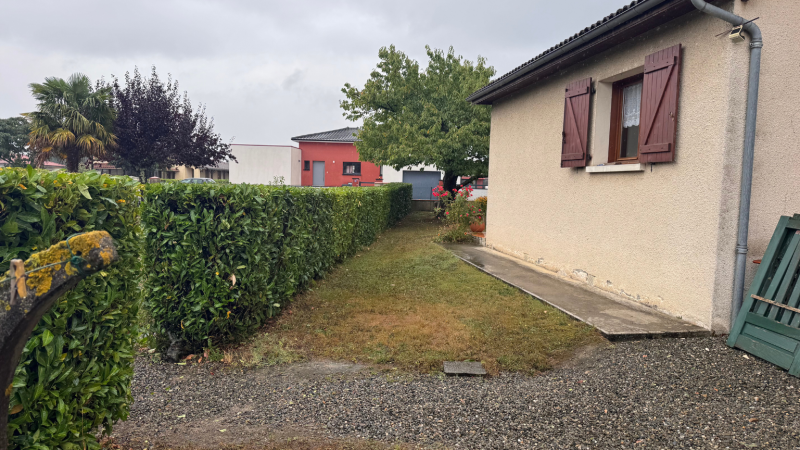 Taille précise d’une haie de laurier palme à Beauchalot avec techniques professionnelles par LAFONT ESPACES VERTS à Beauchalot