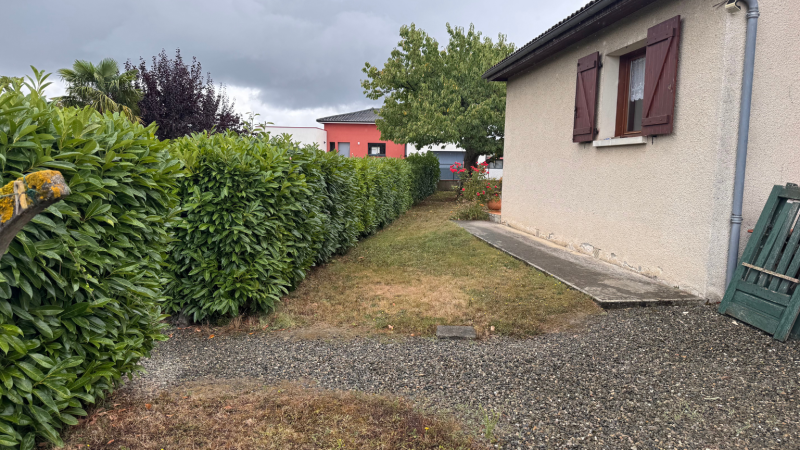 Taille précise d’une haie de laurier palme à Beauchalot avec techniques professionnelles par LAFONT ESPACES VERTS à Beauchalot