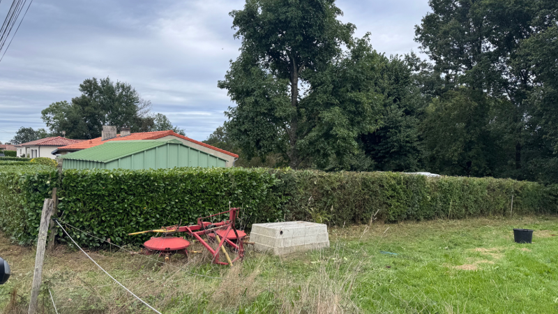 Rabattage sévère d’une haie de laurier et diverses essences à la tronçonneuse avec finition au taille-haie par LAFONT ESPACES VERTS à Saint-Gaudens