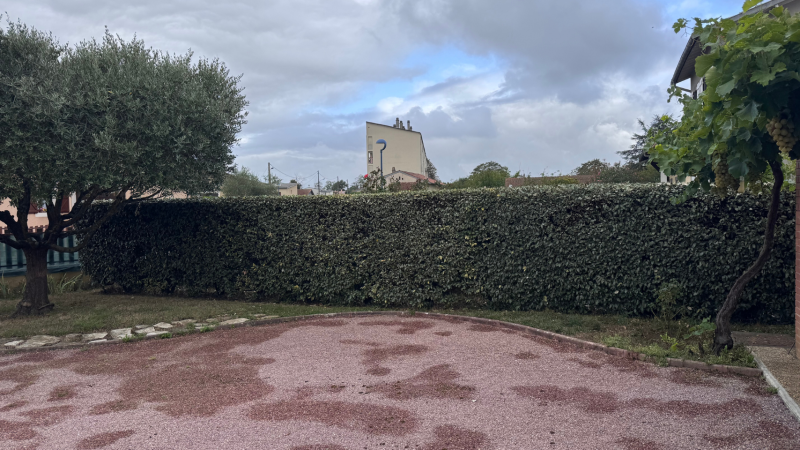 Taille précise et soignée d’une haie mitoyenne de photinia de 2m réalisée par LAFONT ESPACES VERTS à Saint-Gaudens