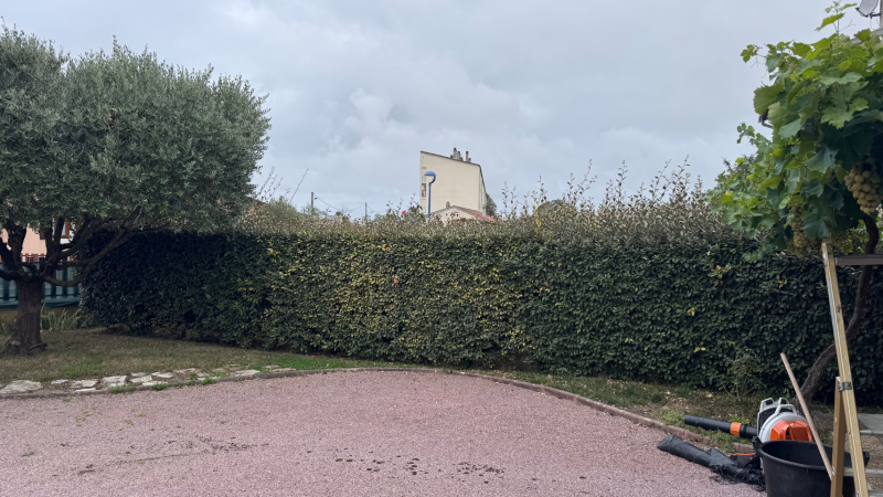 Taille précise et soignée d’une haie mitoyenne de photinia de 2m réalisée par LAFONT ESPACES VERTS à Saint-Gaudens