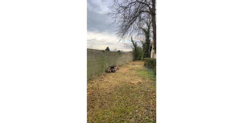 Abattage de chêne et bouleau avec enlèvement de haie envahissante et valorisation des déchets verts à Saint-Gaudens