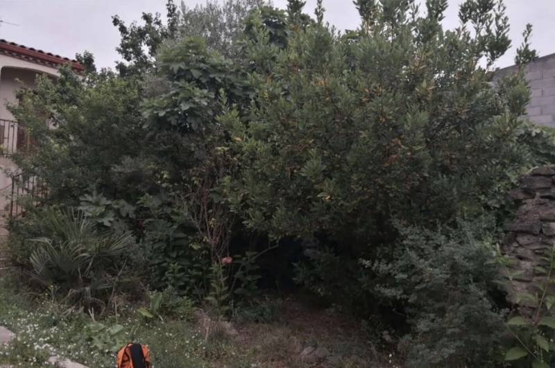 Intervention pour débroussailler un terrain accidenté à Lannemezan : quelles solutions adaptées pour mener à bien ce projet ?