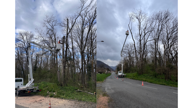 Élagage professionnel en Occitanie : abattage sécurisé avec nacelle – Intervention à Barbazan près de Saint-Gaudens