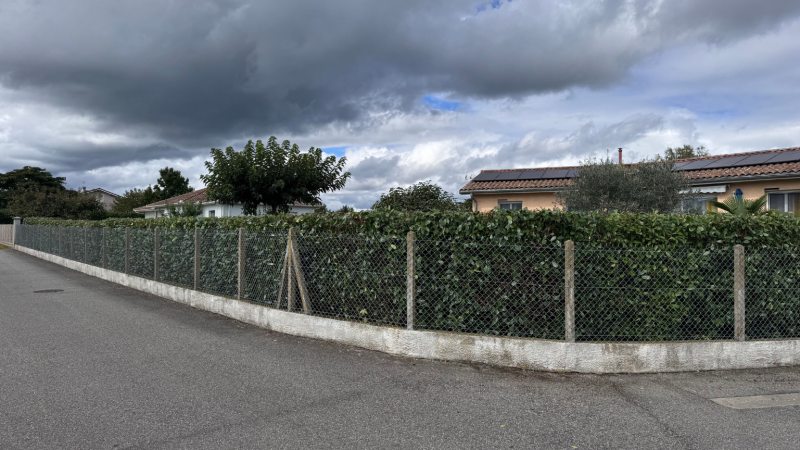 Taille experte et soignée de haie de Photinia par LAFONT ESPACES VERTS avec techniques professionnelles à Pointis-de-Rivière