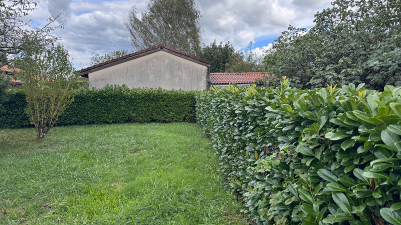 Travaux spécialisés de taille et restructuration de haie de laurier palme à Saint-Gaudens par LAFONT ESPACES VERTS