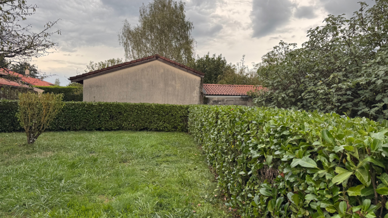 Travaux spécialisés de taille et restructuration de haie de laurier palme à Saint-Gaudens par LAFONT ESPACES VERTS