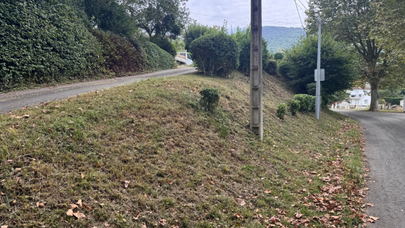 Débroussaillage professionnel d’un terrain pentu par LAFONT ESPACES VERTS, jardinier élagueur grimpeur expert en entretien de talus à Pointis-Inard
