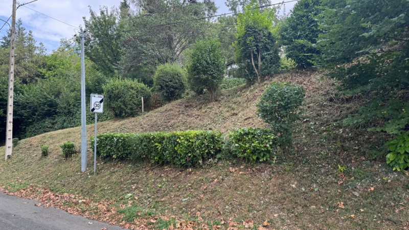 Débroussaillage de talus avec haie et arbustes par expert local – Saint Gaudens, Martres de Rivière et Villeneuve de Rivière