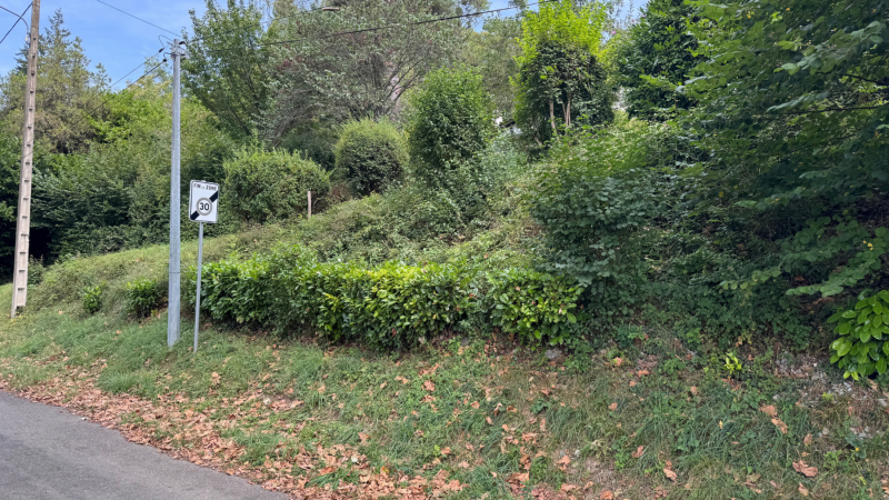 Débroussaillage de talus avec haie et arbustes par expert local – Saint Gaudens, Martres de Rivière et Villeneuve de Rivière