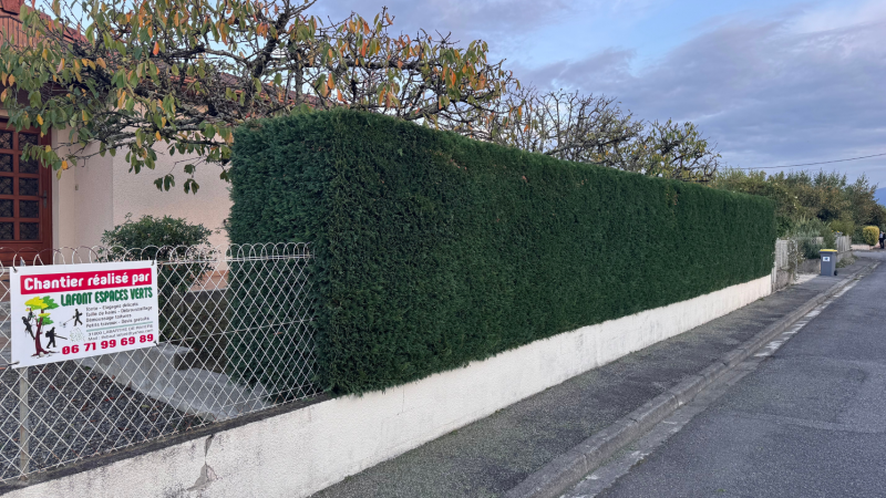 Réalisation de travaux de jardinage complets, élagage, débroussaillage et entretien d’espaces verts à Saint-Gaudens et ses alentours