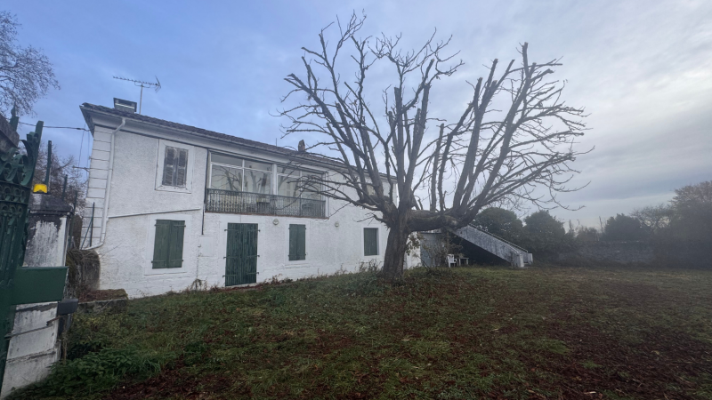 Prix d'un élagage pour un arbre de 10 m 