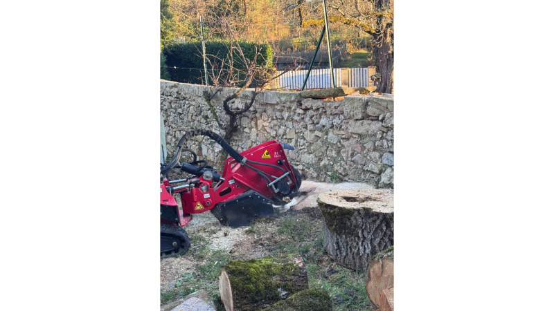 rognage pour éliminer une souche