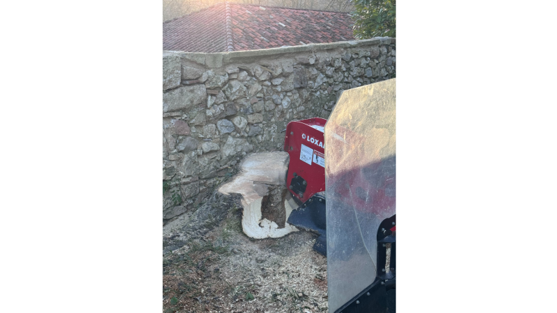 rognage d'une souche