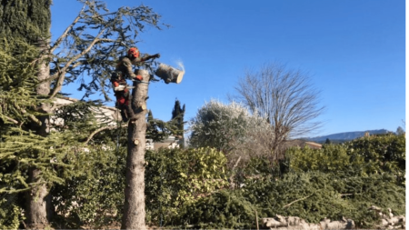 Nos prestations sur le secteur de Saint-Gaudens en Haute-Garonne en Occitanie